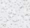 White_T2_P7.png